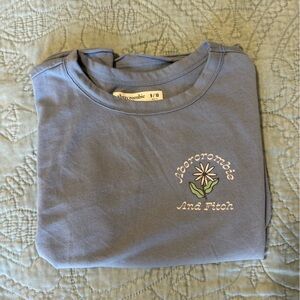 Abercrombie & Fitch kids graphic tee in blue - great condition